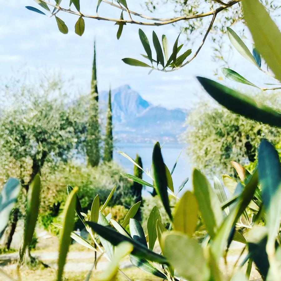 Maison Balù Villa Torri Del Benaco Esterno foto